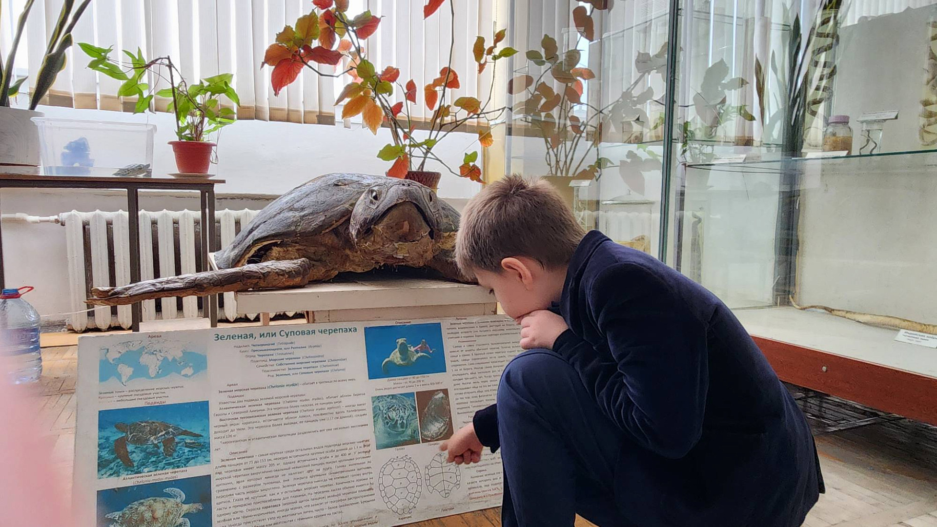 Школьники Махачкалы в Зоомузее ДГУ